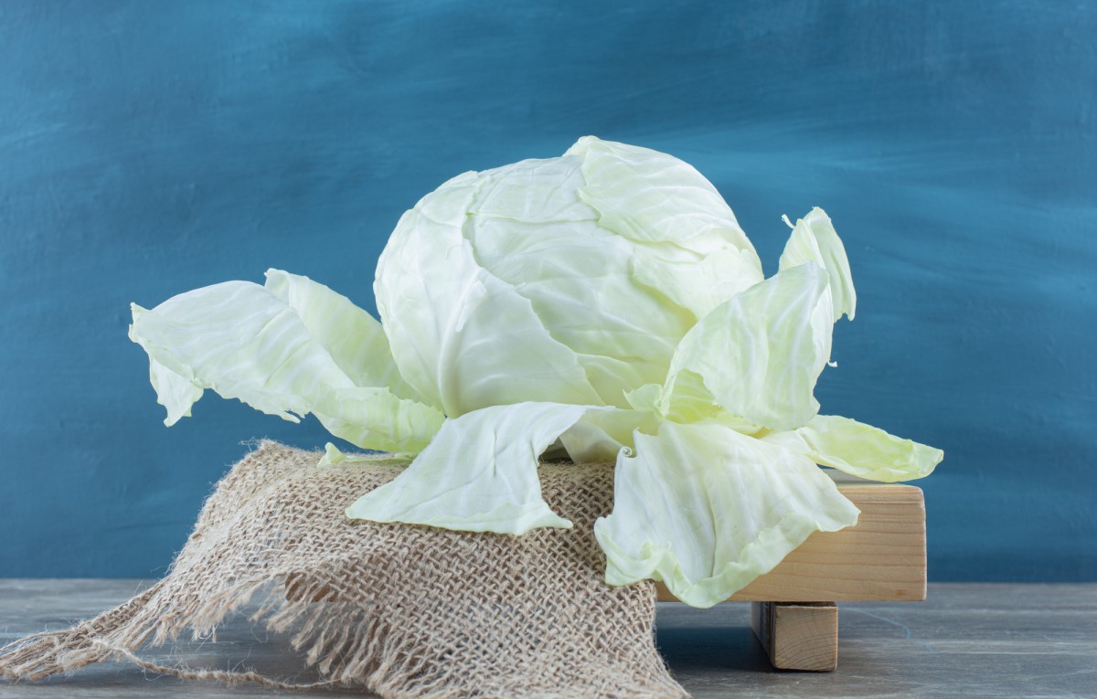 Чубушник «Комсомолец»: идеальный выбор для вашего сада