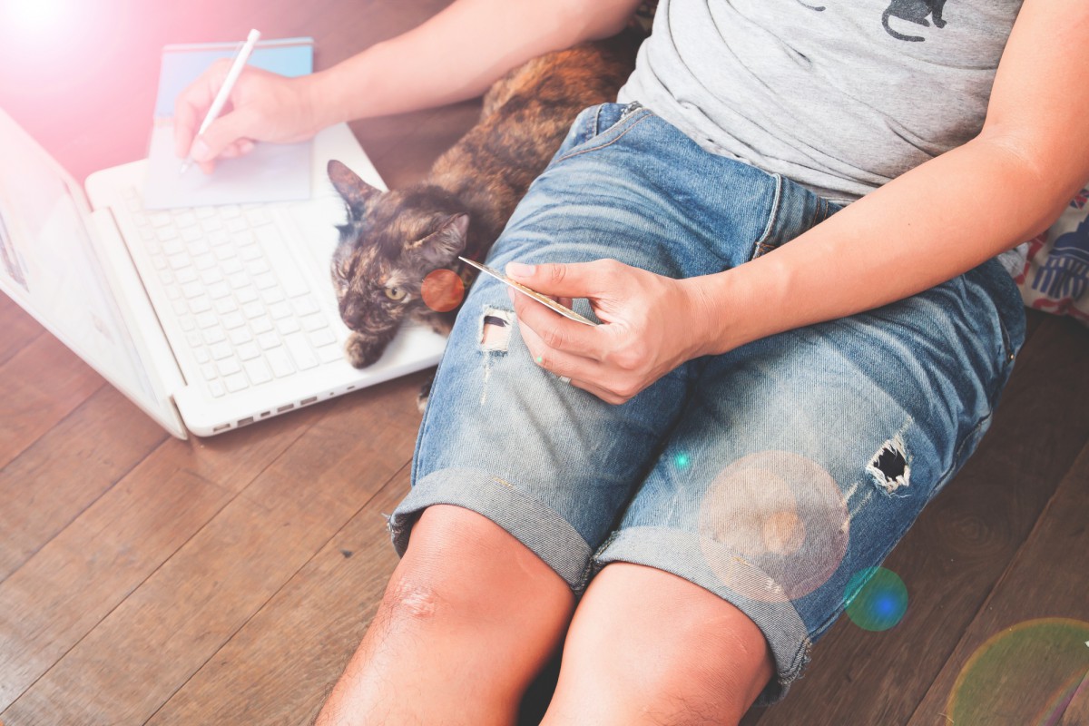 Как распознать постельных клопов и избавиться от них