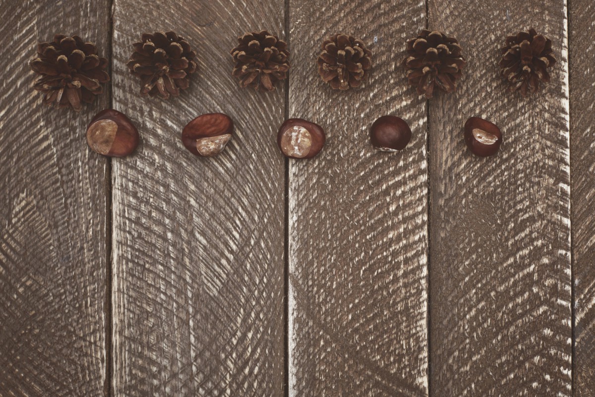 Как убрать царапины с деревянной мебели: простой способ с грецким орехом