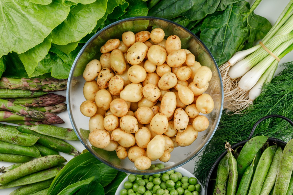 Секреты богатого урожая: как картофель и бобовые могут стать лучшими друзьями на грядке