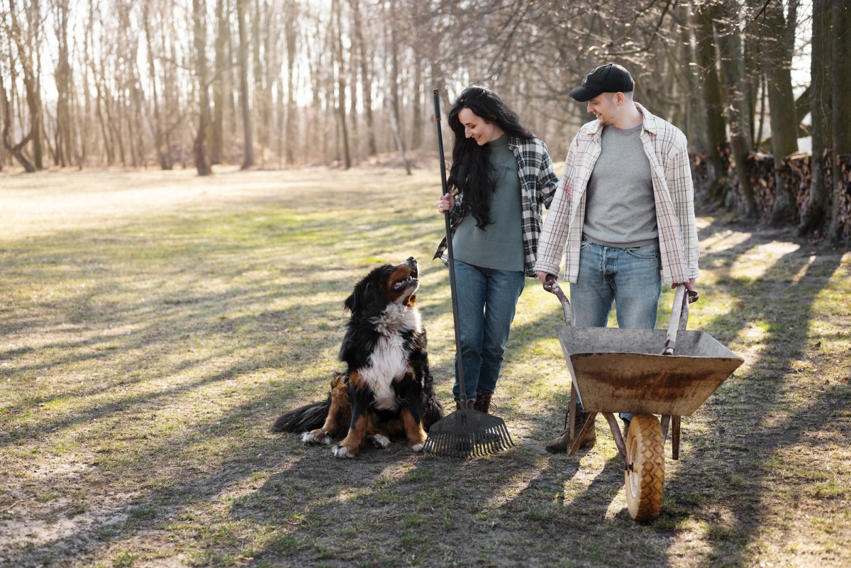 Почему выгул собаки на даче так важен и чем опасен самовыгул