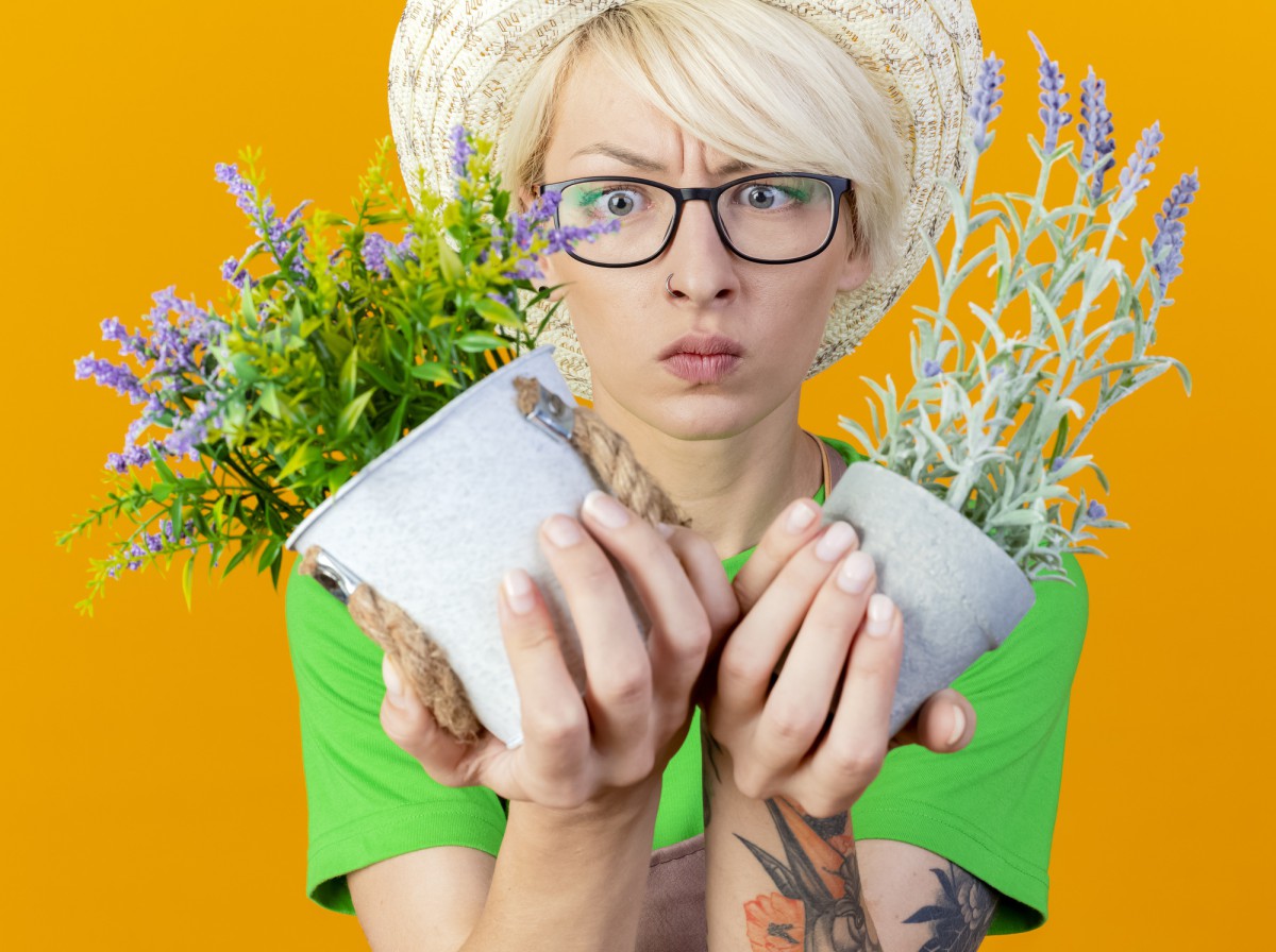 Как избавиться от вшей: современные методы борьбы