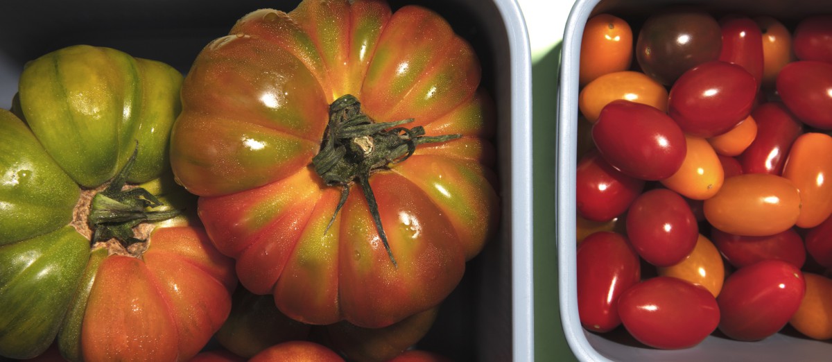 Как заморозить кабачки, чтобы они не превратились в кашу