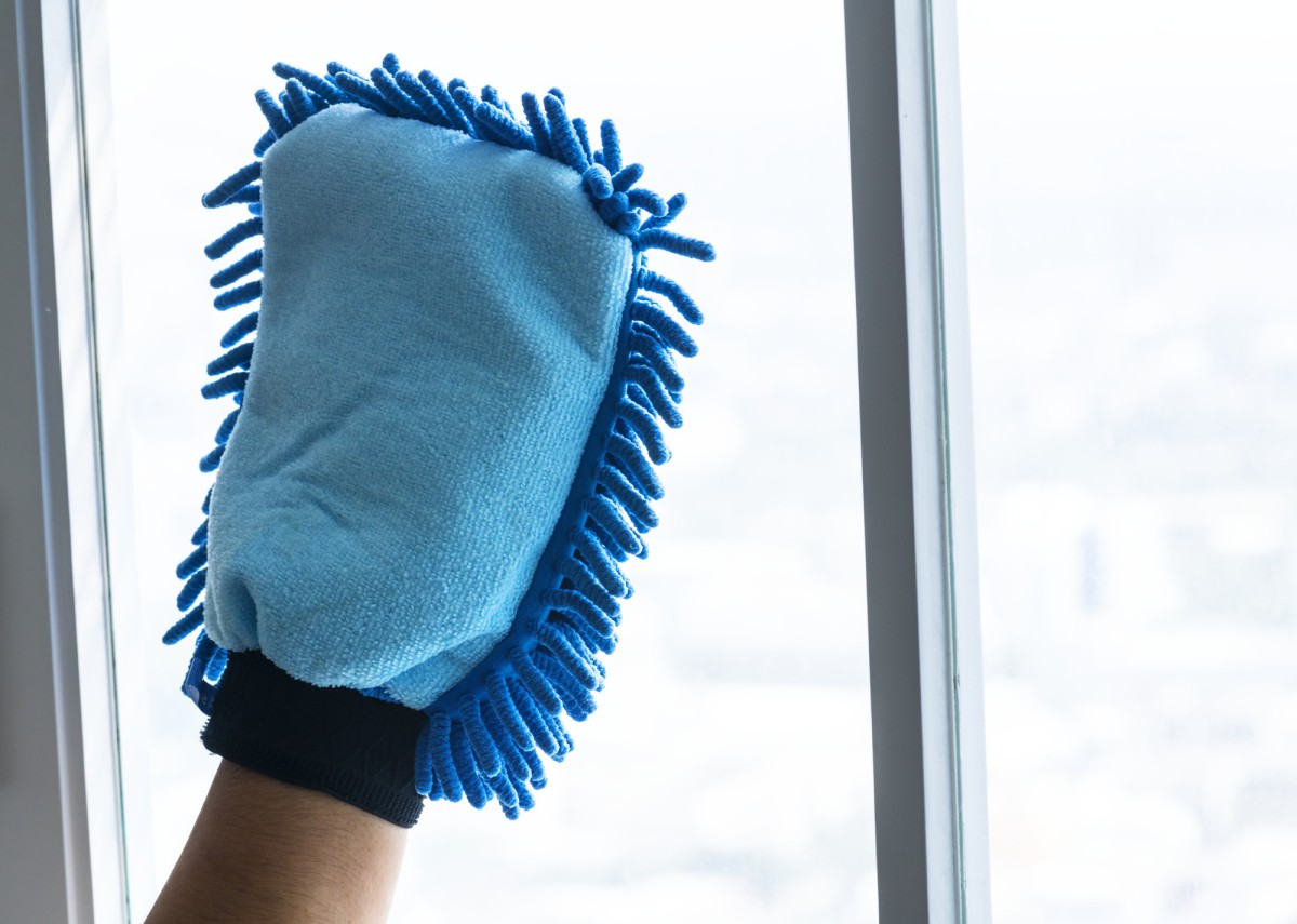 Скребок для окон — неожиданный помощник в борьбе с шерстью на ковре