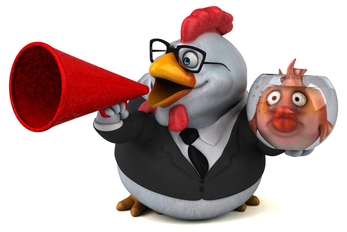 Почему кролик и индейка — лучший выбор для здорового питания