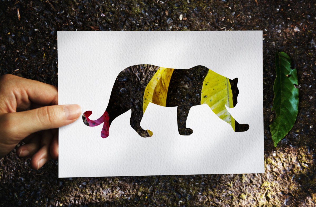 Как научить ребёнка контролировать злость: упражнения от Виктории Шиманской