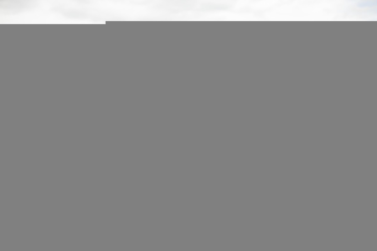 Как познакомить собаку с младенцем: советы кинологов