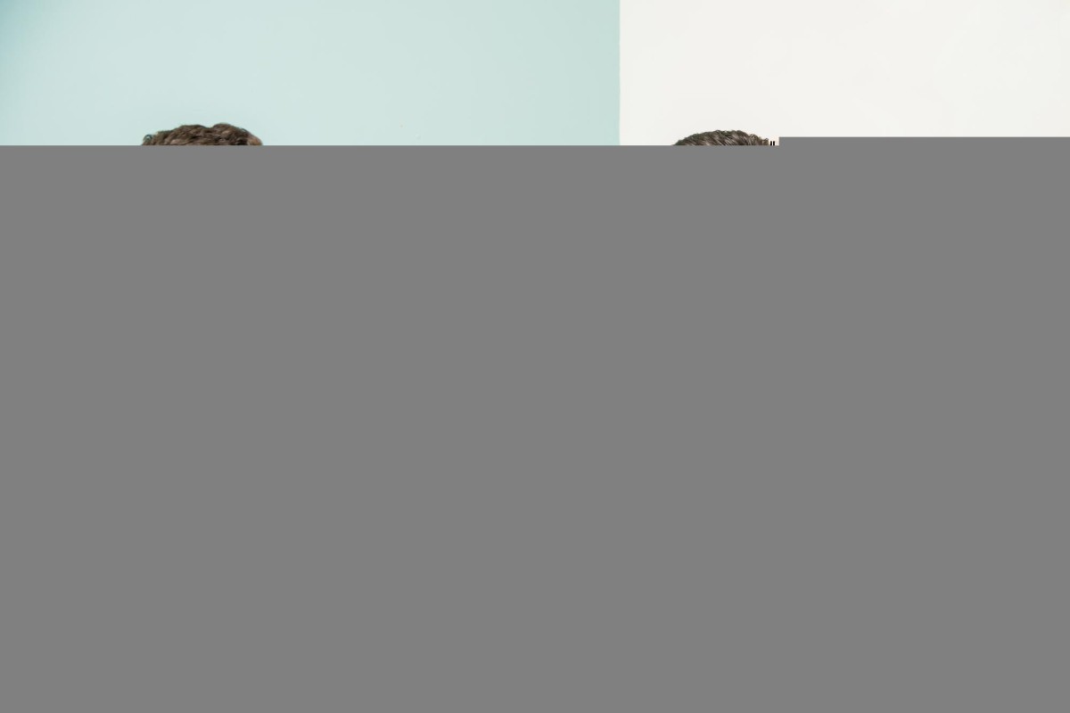 Тиннитус: почему звенит в ушах и что делать?