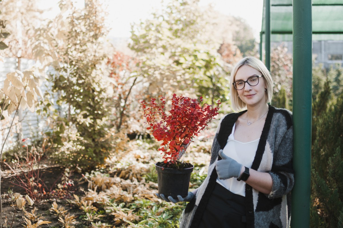 Как определить, какие многолетние цветы пора сажать под зиму