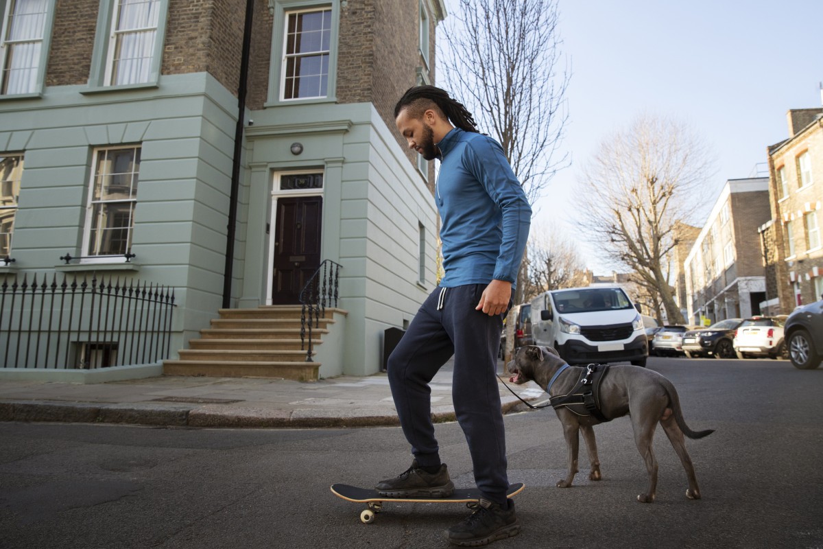 Как победить собачью шерсть: советы для заботливых хозяев