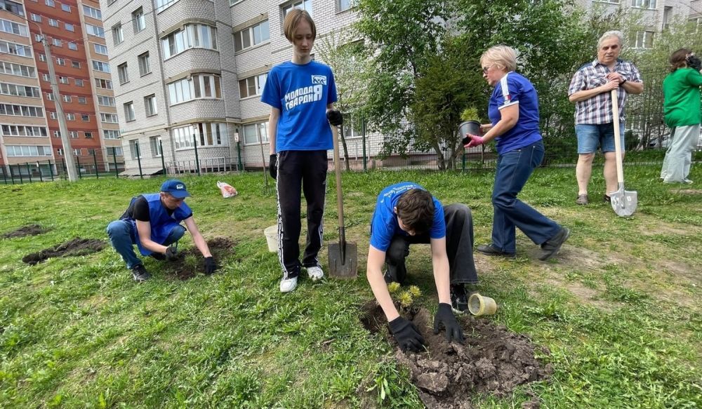Курские молодогвардейцы поучаствовали во всероссийском проекте «Кедры России»