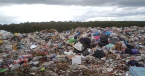 Прокуратура обнаружила нарушения на Муромской городской свалке