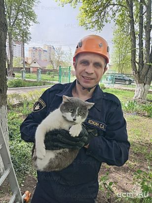 Орловские спасатели пришли на помощь коту, взволновавшему воспитанников детского сада