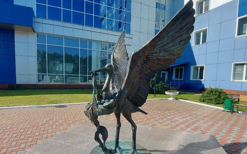 С начала года в перинатальном центре Саранска родилось 730 детей