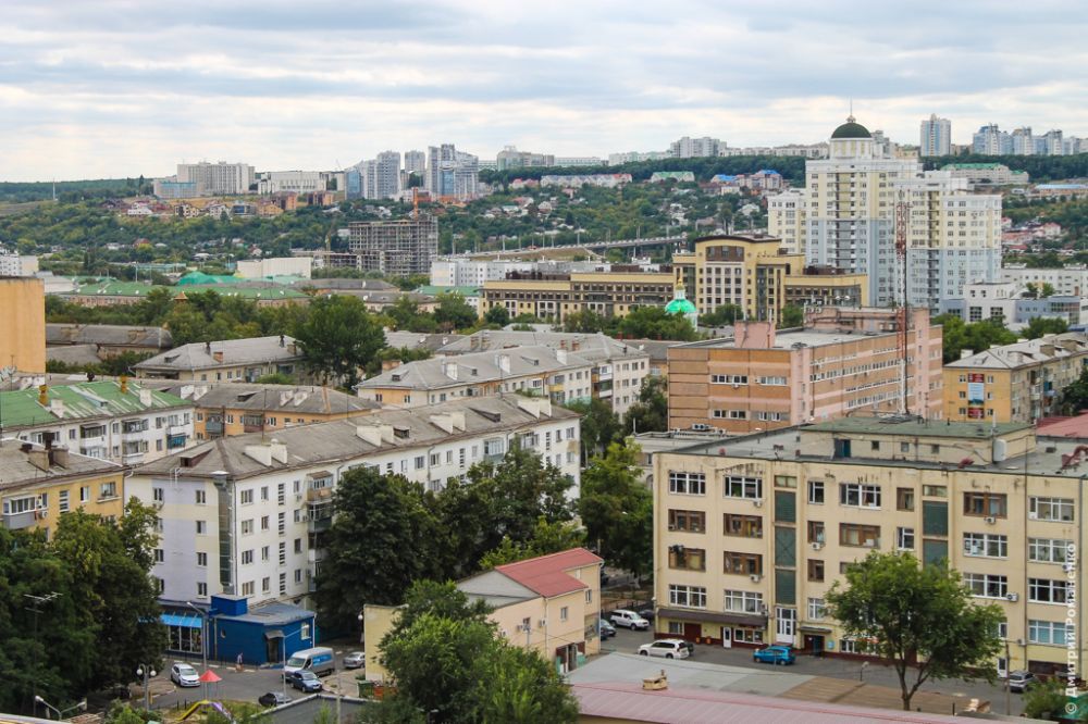 1365 рождений детей зарегистрировано в Белгородской области с помощью суперсервиса «Рождение ребёнка» с начала 2025 года