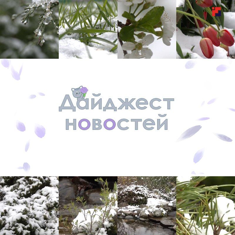 Доброе утро. 5 мая - Международный день акушерки