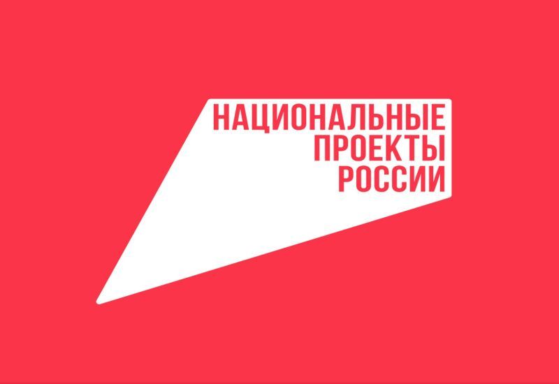 В селе Кочкурово Дубенского района ведется капремонт Дома культуры