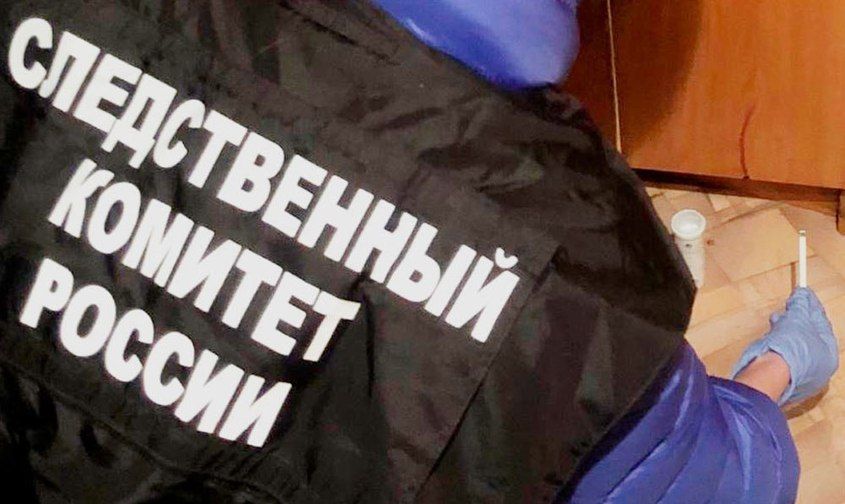 Вонзил нож в сердце: амурчанин зарезал друга за неправильное, по его мнению, воспитание детей