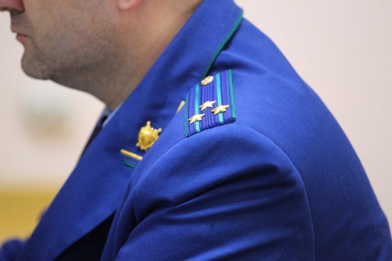 Во Владимире маткапитала лишили мать троих детей