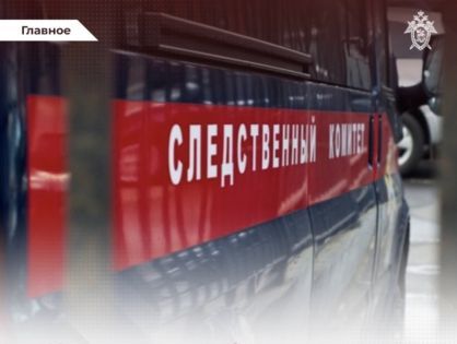 В Республике Алтай женщина осуждена за незаконное лишение свободы своего малолетнего сына и ненадлежащее исполнение обязанностей по воспитанию ребенка