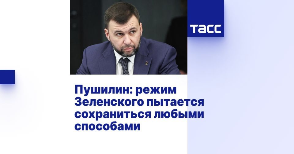 Пушилин: режим Зеленского пытается сохраниться любыми способами
