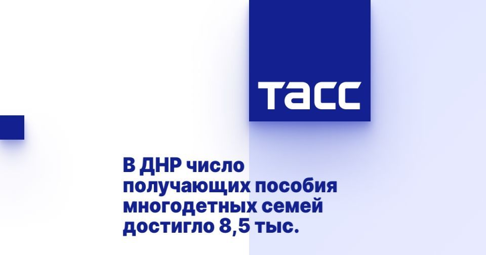 В ДНР число получающих пособия многодетных семей достигло 8,5 тыс.