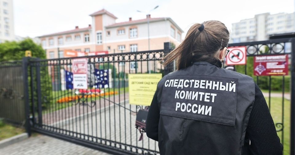 Поставлено на контроль: Бастрыкин потребовал доклад по уголовному делу о падении клёна на шестилетнего малыша