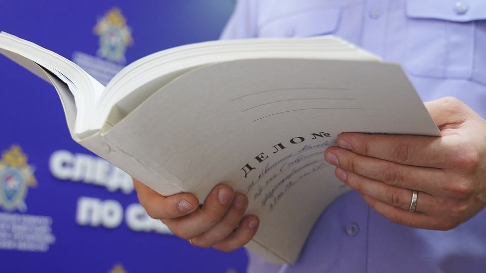За аферу с маткапиталом на 7,5 миллионов под суд в Крыму пойдут 17 женщин