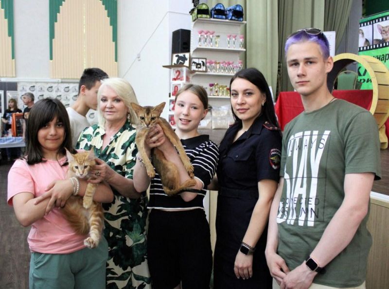 В Комсомольске-на-Амуре в рамках акции «Каникулы с общественным советом» воспитанники детского дома №8 побывали на выставке кошек