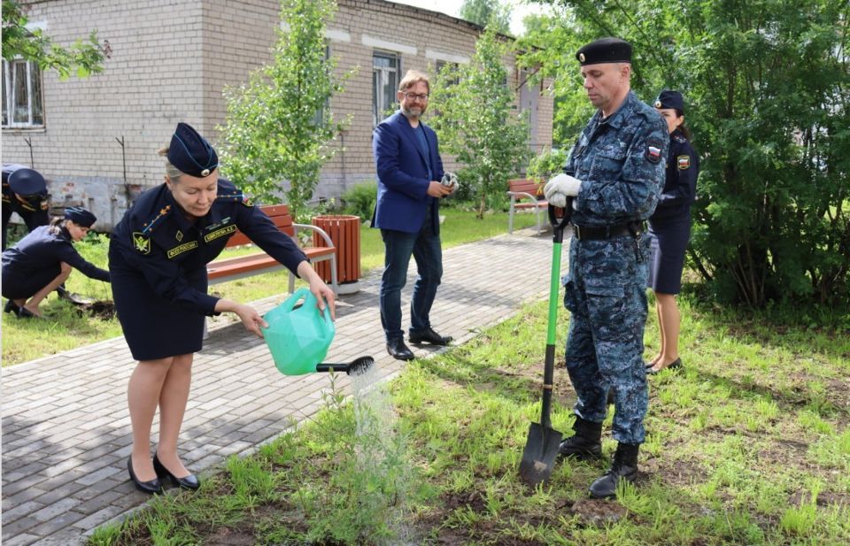 У Архангельской областной детской больнице появилась новая аллея
