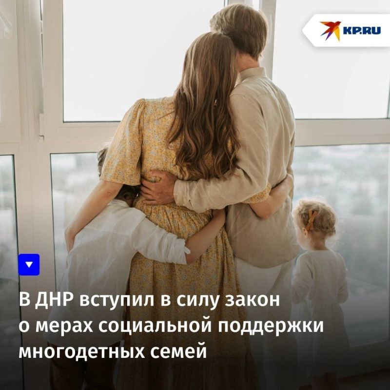 В ДНР вступил в силу закон о мерах социальной поддержки многодетных семей