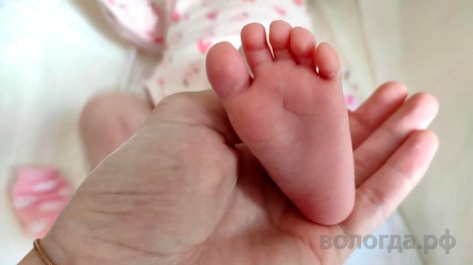 Более 2,6 тыс. работающих мам получили пособие по беременности и родам на Вологодчине
