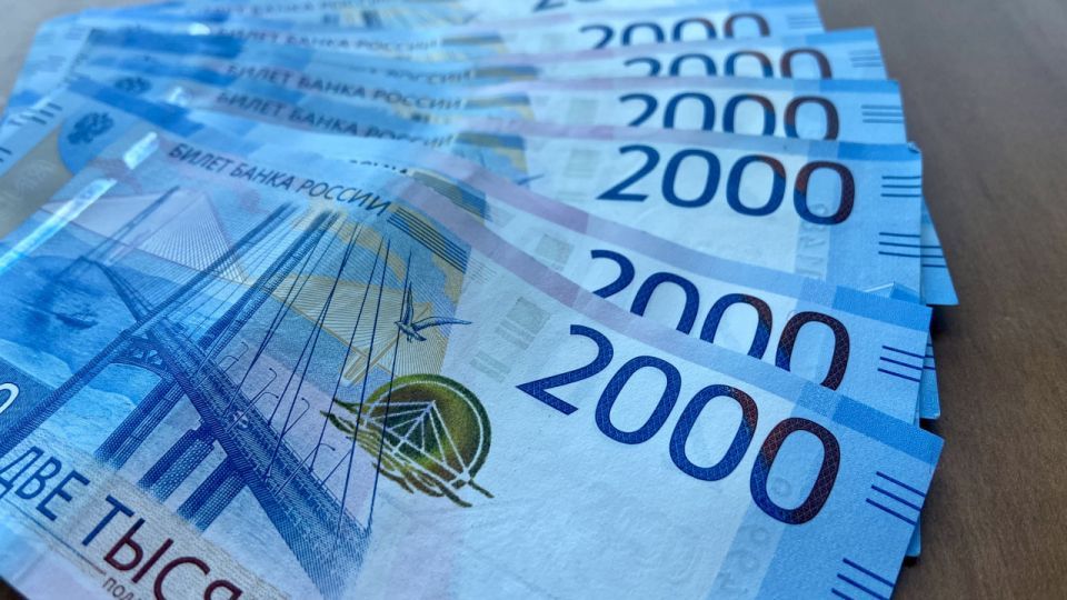 109 человек провернули аферу с маткапиталом на 75 млн рублей на Ставрополье