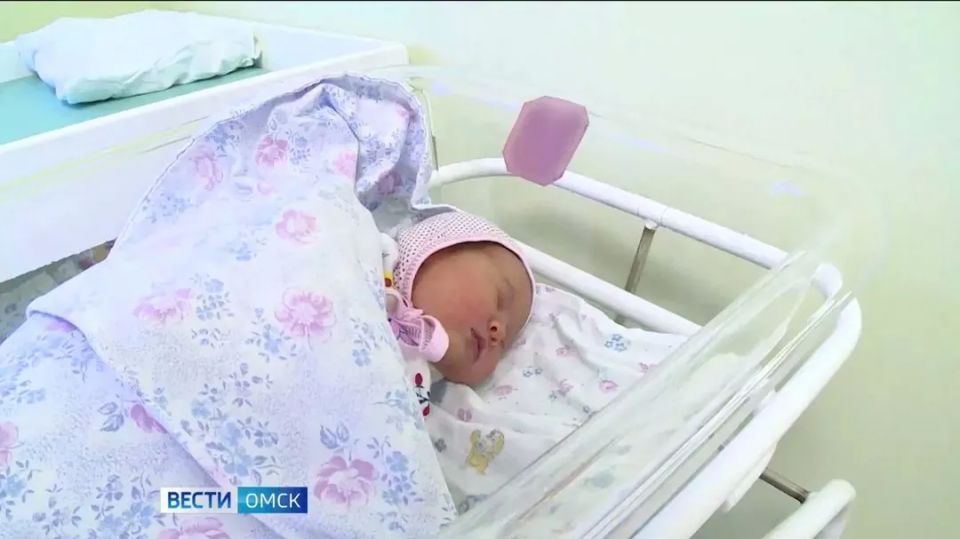 В Омской области похитили средства материнского капитала на сумму более 6 млн рублей