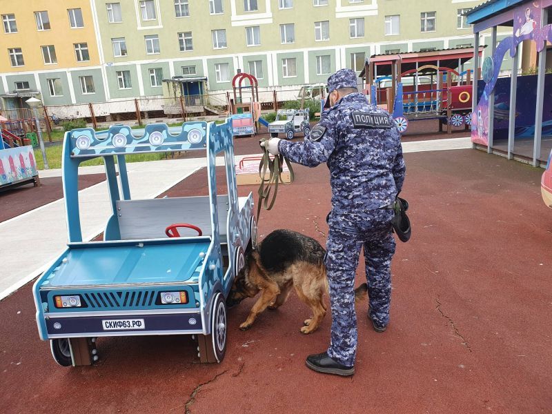 В рамках всероссийской акции «Каникулы с Общественным советом» состоялось познавательное мероприятие для воспитанников детского сада «Золотой ключик» города Анадырь