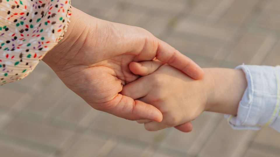 Дополнительные меры поддержки одиноких мам планируют ввести в Хабаровском крае