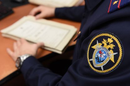 В Верхнекамском районе возбуждено уголовное дело о мошенничестве со средствами материнского капитала