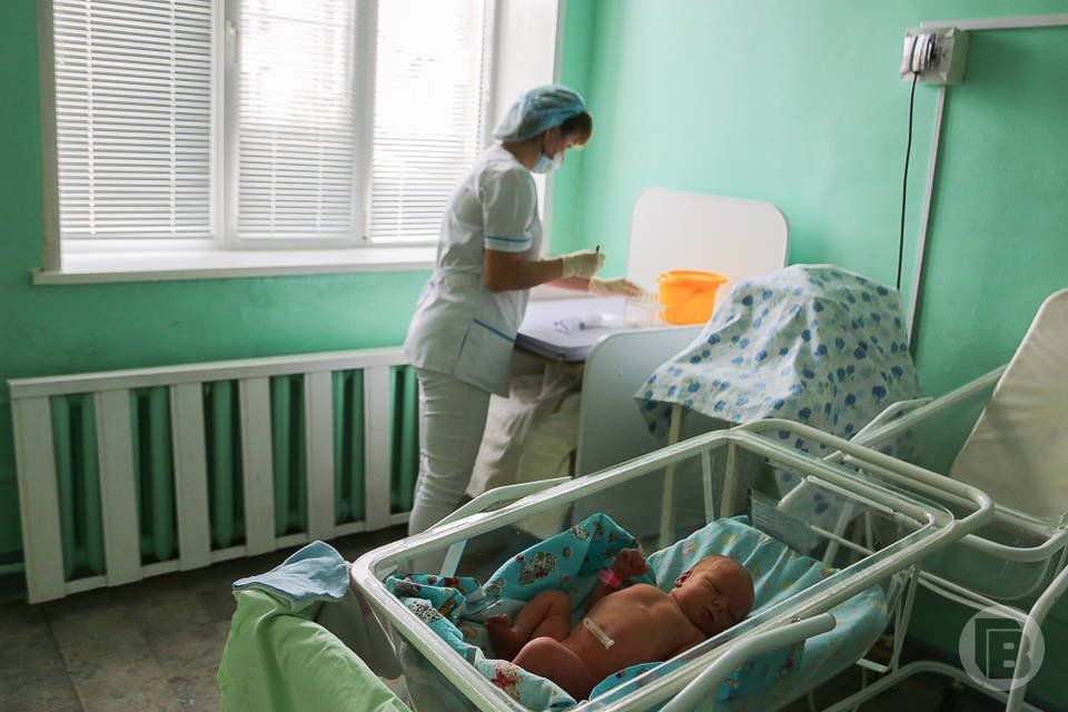 Двойню приняли в роддоме Волгограда