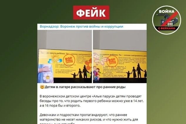 Власти Воронежа опровергли фейк о призывах рано рожать
