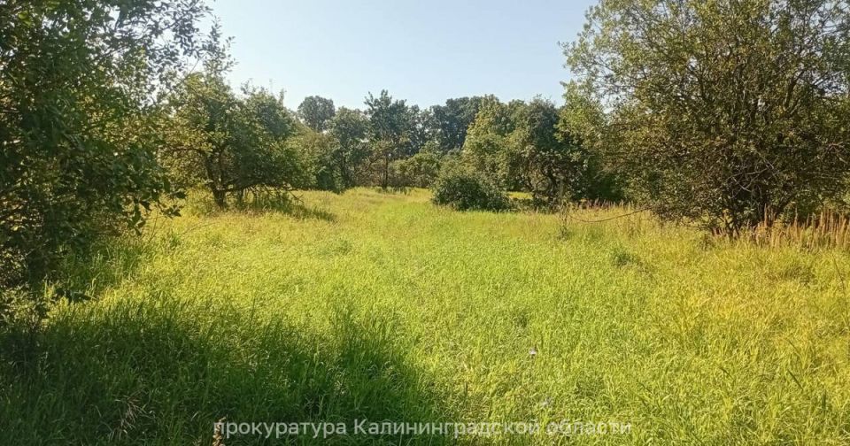 Администрация Правдинского района выделила многодетным семьям участки без света, воды, газа и подъездов
