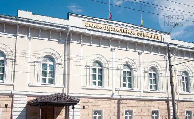 В Пензенской области при назначении многодетным семьям региональных мер соцподдержки не будут учитывать критерий нуждаемости