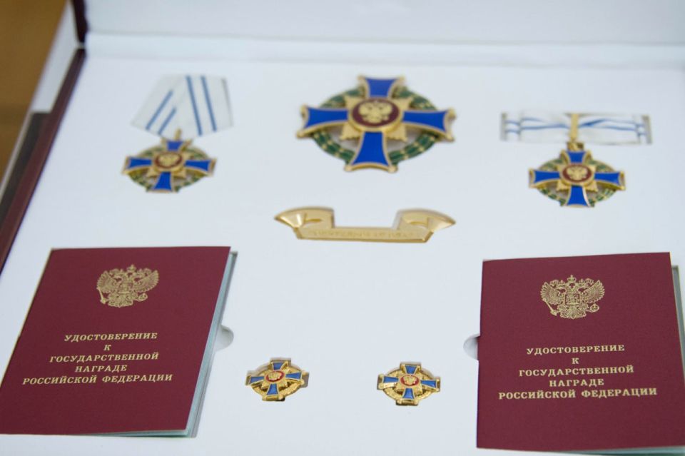 Многодетные семьи из Челябинска получили государственные награды