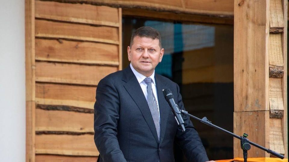 Залужный предложил обучать украинских школьников истории террористов и неонацистов "Азова"*