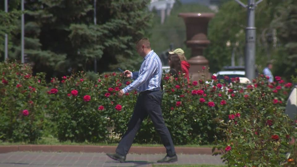В Волгоградской области численность рабочей силы составила 1 430 500 человек в 2024 году