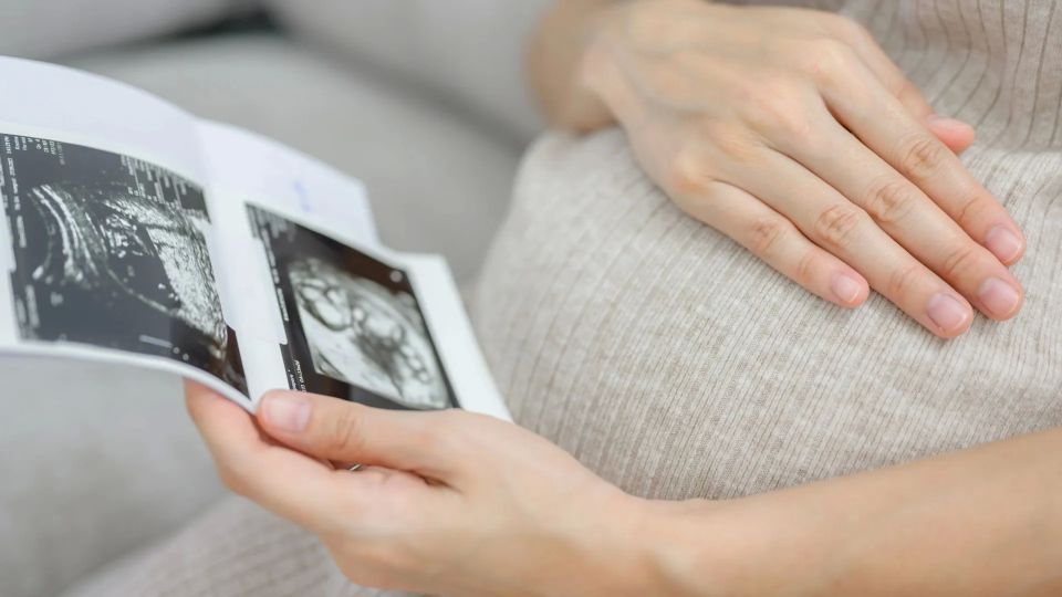 В ЯНАО беременные студентки будут получать более 123 тысяч рублей
