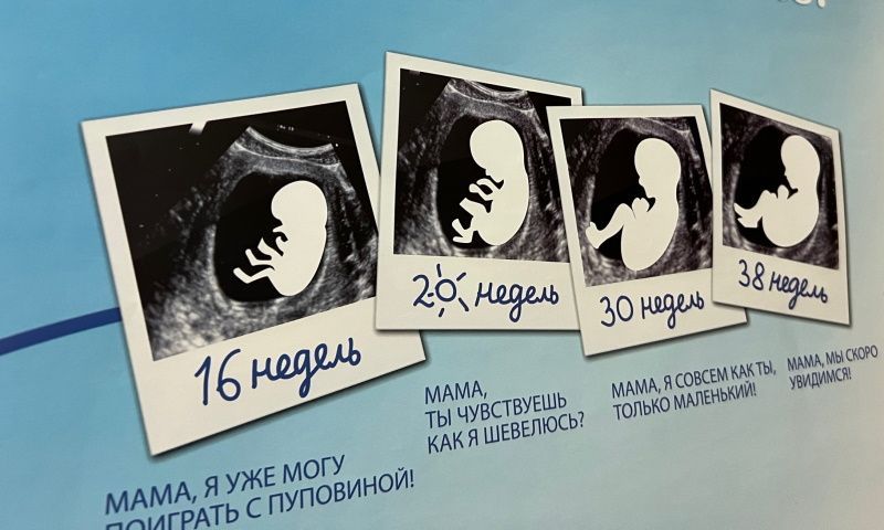 Главная цель в жизни женщины – стать мамой