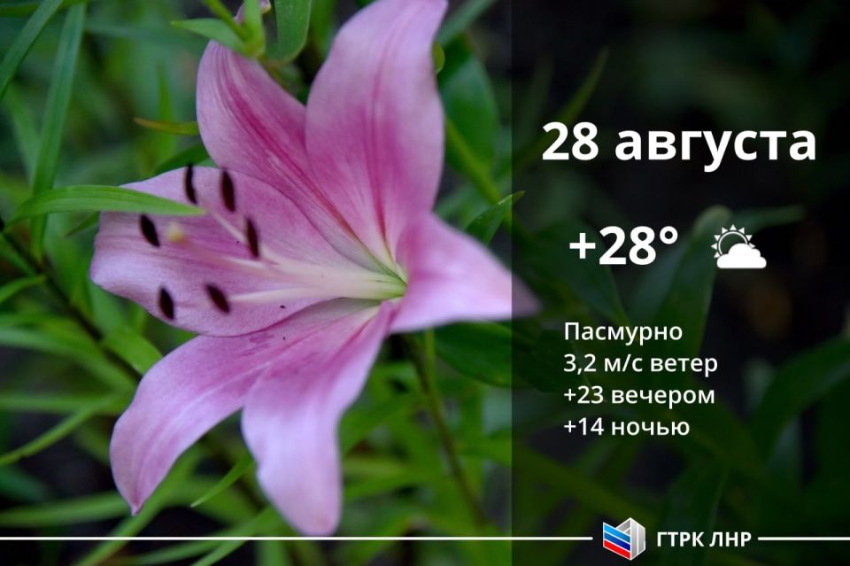Доброе утро, Луганская Народная Республика!