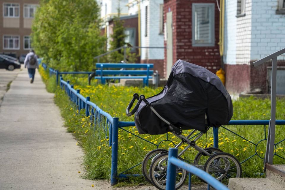В региональном отделении СФР рассказали, как потратить маткапитал на обучение детей