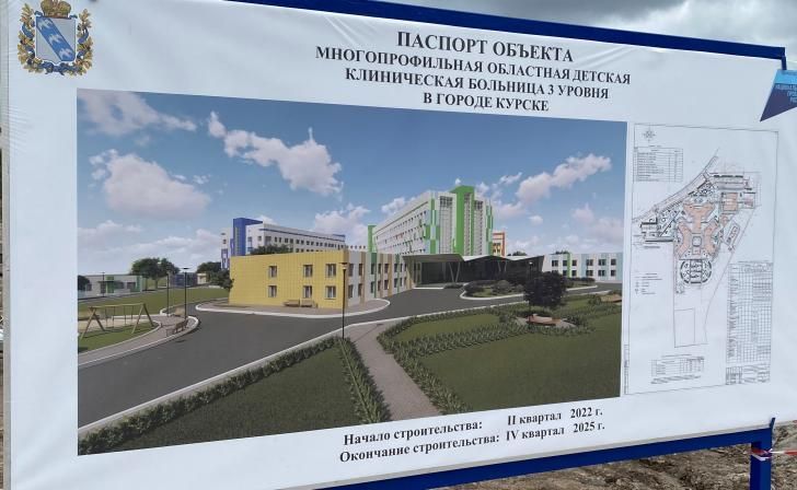Хинштейн обсудил с Файзуллиным стройку детской больницы и очистные