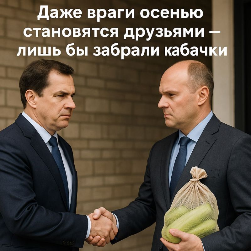 Не отказывайтесь от кабачков!